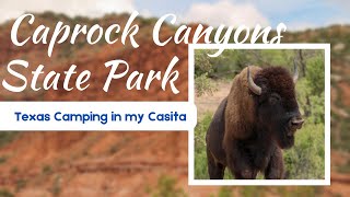 Caprock Canyons State Park  Texas [upl. by Yelruc784]