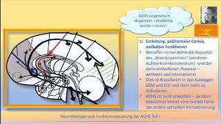 Neurobiologie und Funktionssteuerung bei ADHS Teil I NeuhausCordula [upl. by Tolecnal]