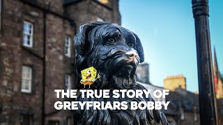 THE TRUE STORY OF GREYFRIARS BOBBY  EDINBURGH TRAVEL MANIAC  PILOT [upl. by Bijan964]