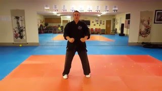 Chinese Kenpo  Form 1 [upl. by Narruc]