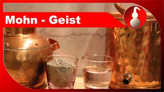 MohnGeist  ansetzen und destillieren  Schnaps selber brennen  diSTILLed [upl. by Faires712]