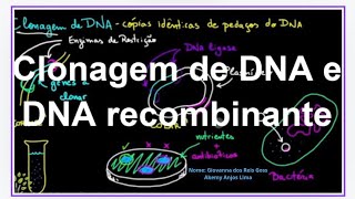 Clonagem de DNA e DNA recombinante [upl. by Sivart720]