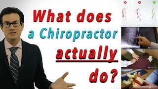 What Does a Chiropractor ACTUALLY Do [upl. by Ater]