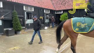 Newmarket Gallops 060724  Julia Feilden Racing [upl. by Dolora]