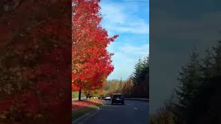 Leavenworth washington snowqualmie fallsubscribe pleasesubscribe viralvideos shorts trending [upl. by Dranoc]