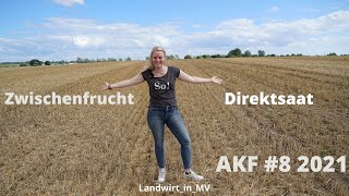 AKF 8 2021 Sonnenblumen Grünland und Zwischenfrucht in Direktsaat [upl. by Nnyleve517]