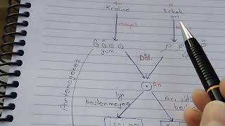 son bir hatırlatma partenogenez bugün bu soru çıktı [upl. by Demetre77]