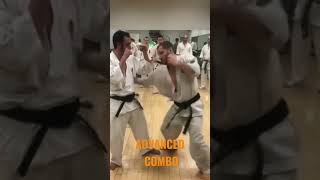 Improve your KUMITE with this Secret FIGHT COMBO karate [upl. by Ivatts]