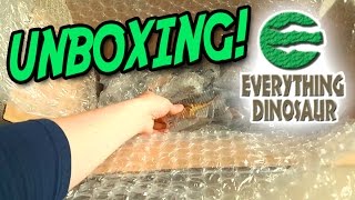 Epic Dinosaur Unboxing  Everything Dinosaur  Papo CollectA Mojo figures [upl. by Doxia148]