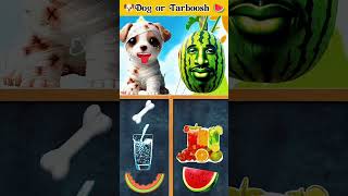 🐕 Dog or Tarboosh 🍉 ki Kahani viral shortsfeed shorts [upl. by Armalla]