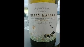 Terras Mancas Delicious White Wines from the North of Spain [upl. by Danielle508]