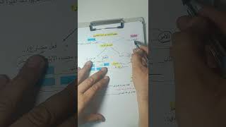 منهجية الإجابة عن أسئلة بكالوريا اللغة العربية2025 [upl. by Ettenav]