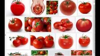 Spiras Favorite Mucusless Diet Healing System Foods Raw Veggies Part 4 [upl. by Naicad]