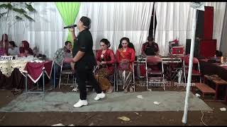 Pamer Bojo  Cipt Didi Kempot  Cover By bambang Januari [upl. by Mandi500]