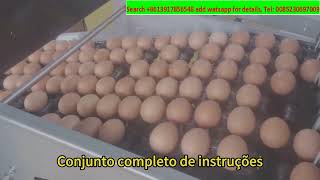 四到六Instruções de operação da Automated Egg Grader Etapas 4 a 6 [upl. by Farmann544]