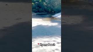 Hyams Beach  Jervis Bay  Whitest Sand whitesand jervisbay beachlife mustvisit exploreshorts [upl. by Amaj]