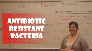 Antibiotic Resistant Bacteria [upl. by Attem]