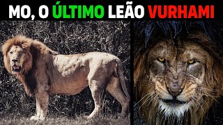 Leão  MO VURHAMI O ÚLTIMO LEÃO [upl. by Philpot630]