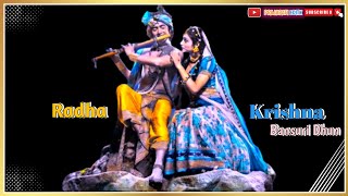 Radha Krishna Bansuri Dhun  Jay Shree Krishna radhakrishna [upl. by Walczak]