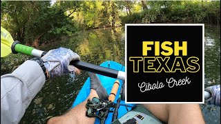 FISH TEXAS  Cibolo Creek [upl. by Nerw]