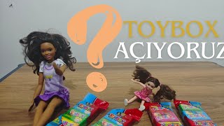 Barbieler TOYBOx Açıyor Bakalım Ne Çıktı [upl. by Eltsryk]