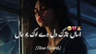 Asaan Nazuk Dil Dy Lok Jo Haan  Saraiki Song  Slow Reverb [upl. by Margette]