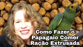 Como Fazer o Papagaio Comer Ração Extrusada [upl. by Larok]