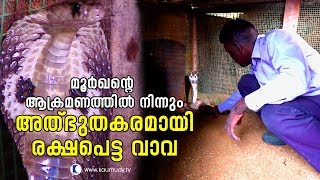 OMG Vava Suresh narrowly escapes Cobra Bite  Kaumudy TV [upl. by Reviere111]