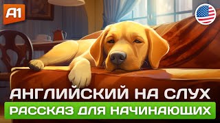 Lazy Dog 🎧 Рассказ на английском для начинающих А1А2 [upl. by Noillid729]