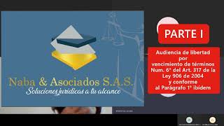 PARTE I Ejemplo de audiencia de libertad por vencimiento de términos Num 6° Art 317 L9062004 [upl. by Mcintosh]