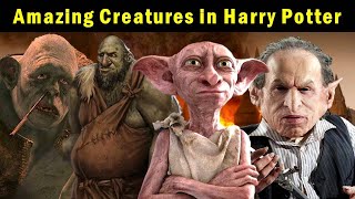 Amazing Creatures in Harry Potter  Explained in Hindi [upl. by Arvo]