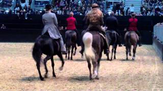 Töltende Traber Messe Pferd und Jagd 2011 Video2 [upl. by Pepin800]