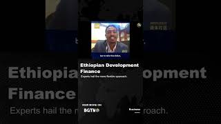 Ethiopian Development Finance [upl. by Carmela]