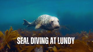 Scuba Diving with Grey Seals at Lundy Island North Devon UK [upl. by Meir]