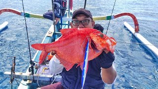 Slow Jigging Ikan Alfonsino di Selat Lombok mancing lombok [upl. by Gitlow128]