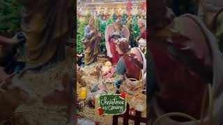 25 December Jessus Born day Happy Krismas day youtubeshorts subscribe viralvideos 💒🕛✝️ [upl. by Nnalatsyrc994]