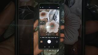 How To Use All Three Cameras Of Redmi Note 13 [upl. by Eadrahs968]