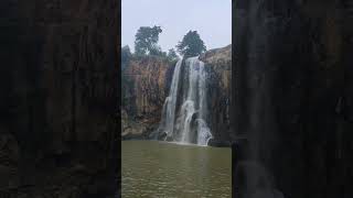 Kendai waterfall Korba district shorts waterfall cg [upl. by Perkins349]