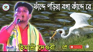 Fande Poriya Boga Kaande Re  ফাঁন্দে পরিয়া বগা কাঁন্দে রে  আব্বাসউদ্দীন আহমেদ । Himadri Dewri [upl. by Etteniuq]