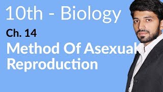 10th Class Biology Chapter 5  Methods of Asexual Reproduction  Class 10 Biology Chapter 14 [upl. by Nivak]