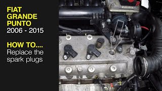 How to replace the spark plugs on the Fiat Grande Punto 2006 to 2015 [upl. by Eilatam50]