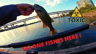 Bass Fishing Downtown Portland new spot [upl. by Metts]