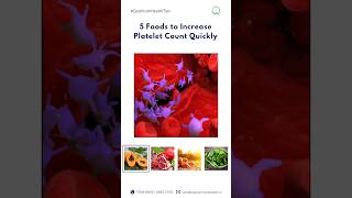 5 Foods to Increase Platelet Count Quickly💪🏼✨ plateletcount naturalremedy healthylifestyle [upl. by Ger645]