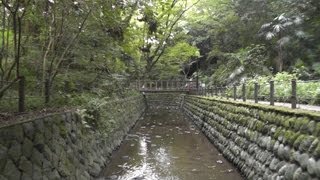 東京・世田谷区 等々力渓谷 2012年 Todoroki Valley in Setagaya Tokyo [upl. by Nywled]