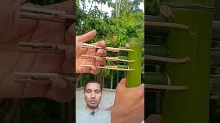 Amazing Bamboo🎍Diy Art Video bamboo diy artvideo craftvideo artandcraft asmrvideo asmrsounds [upl. by Yemerej]