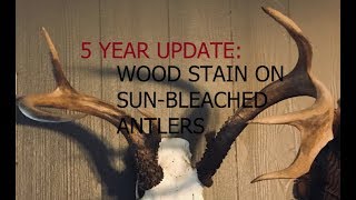 5 YEAR UPDATE on Using Wood Stain to Restore SunBleached Antlers [upl. by Meave]