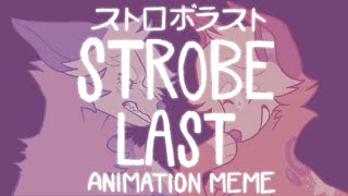 STROBE LAST  ストロボラスト  animation meme [upl. by Ybeloc921]