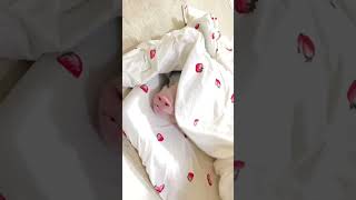 Morning baby 🍼 pig animals cuteanimals piggylove shorts [upl. by Eytteb]