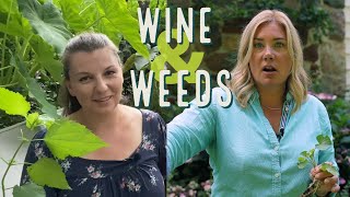 Wine amp Weeds 🌿 🍷 feat Yuliya from Y Garden [upl. by Cam]