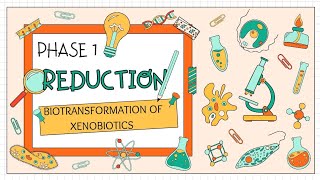 Phase 1 reaction Reduction of biotransformation of xenobiotics youtube toxicology msc bpharma [upl. by Valencia]